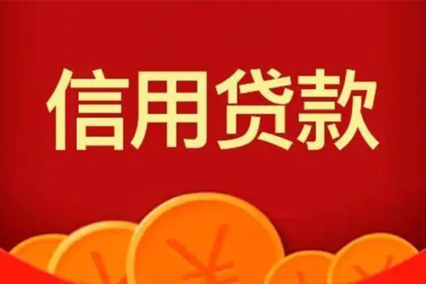 成都信用个人私借